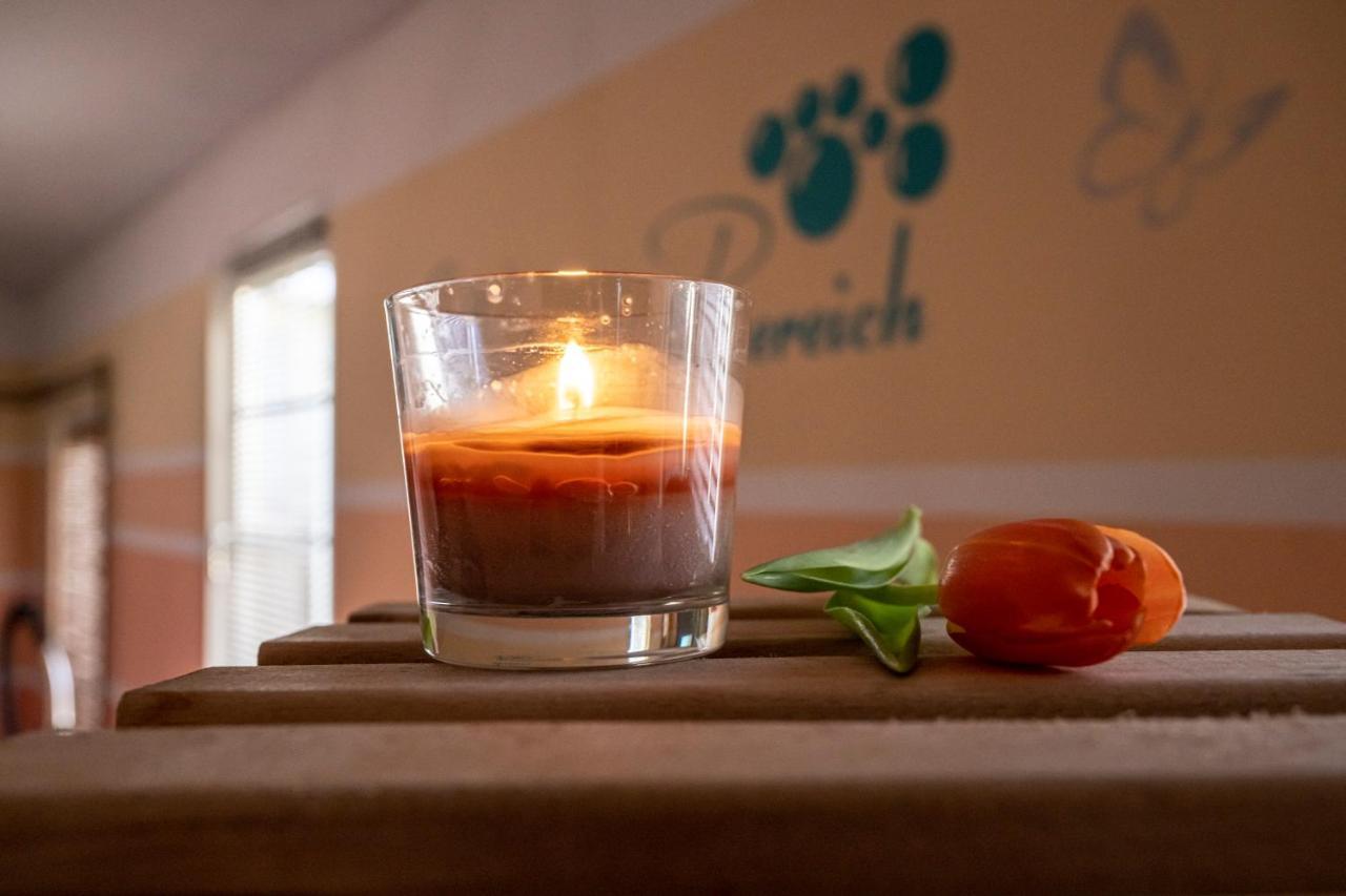 Sporthotel Glueck Auf Moenchenfrei Brand-Erbisdorf Ngoại thất bức ảnh